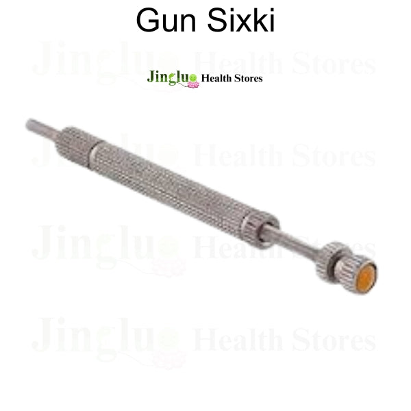 Gun Sixki