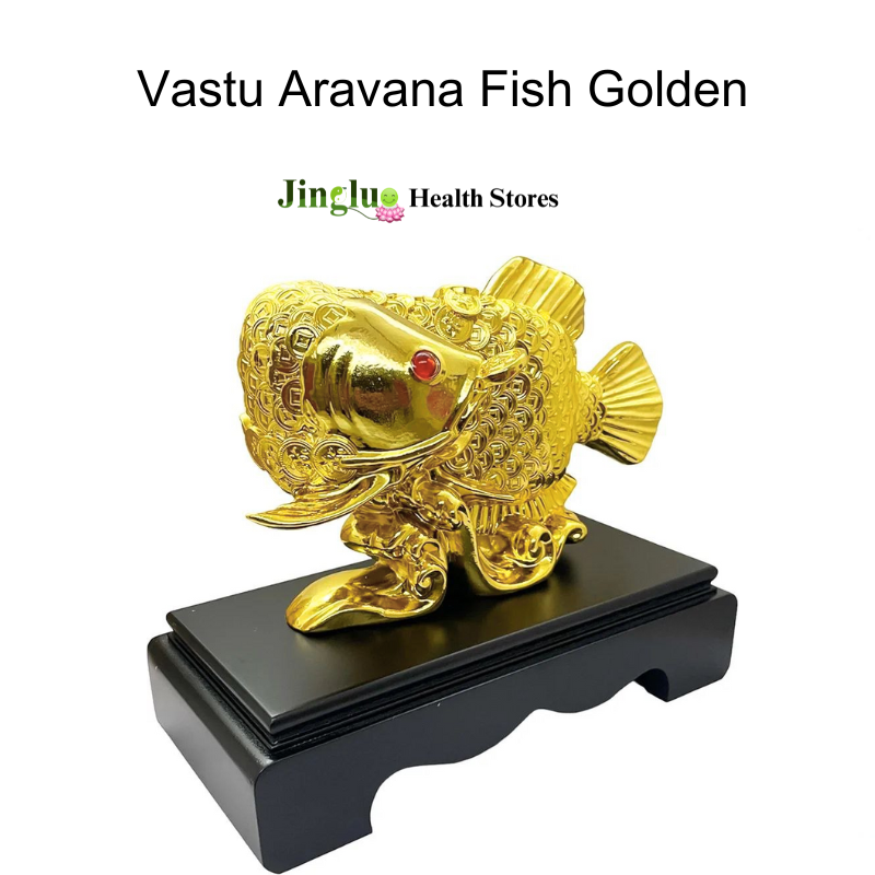 Vastu Aravana Fish Golden