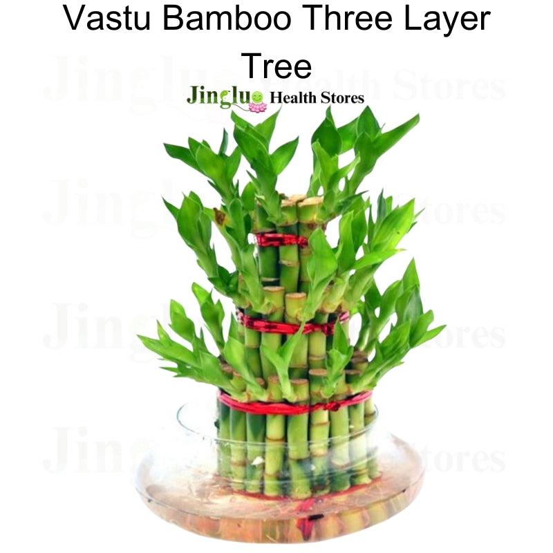 Vastu Bamboo Three Layer Tree