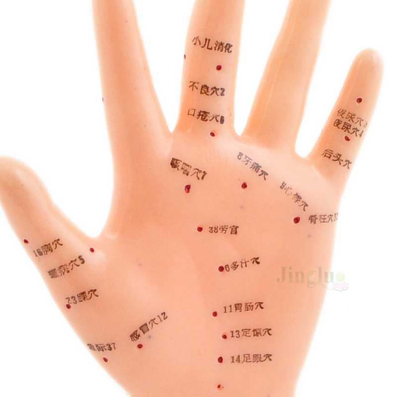 Hand Model