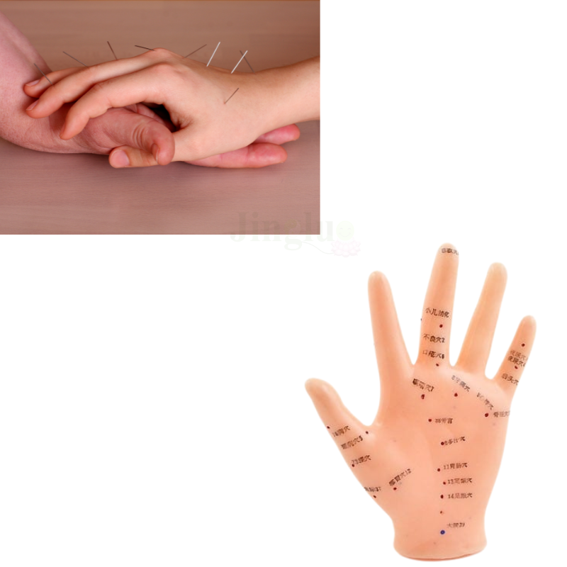 Hand Model