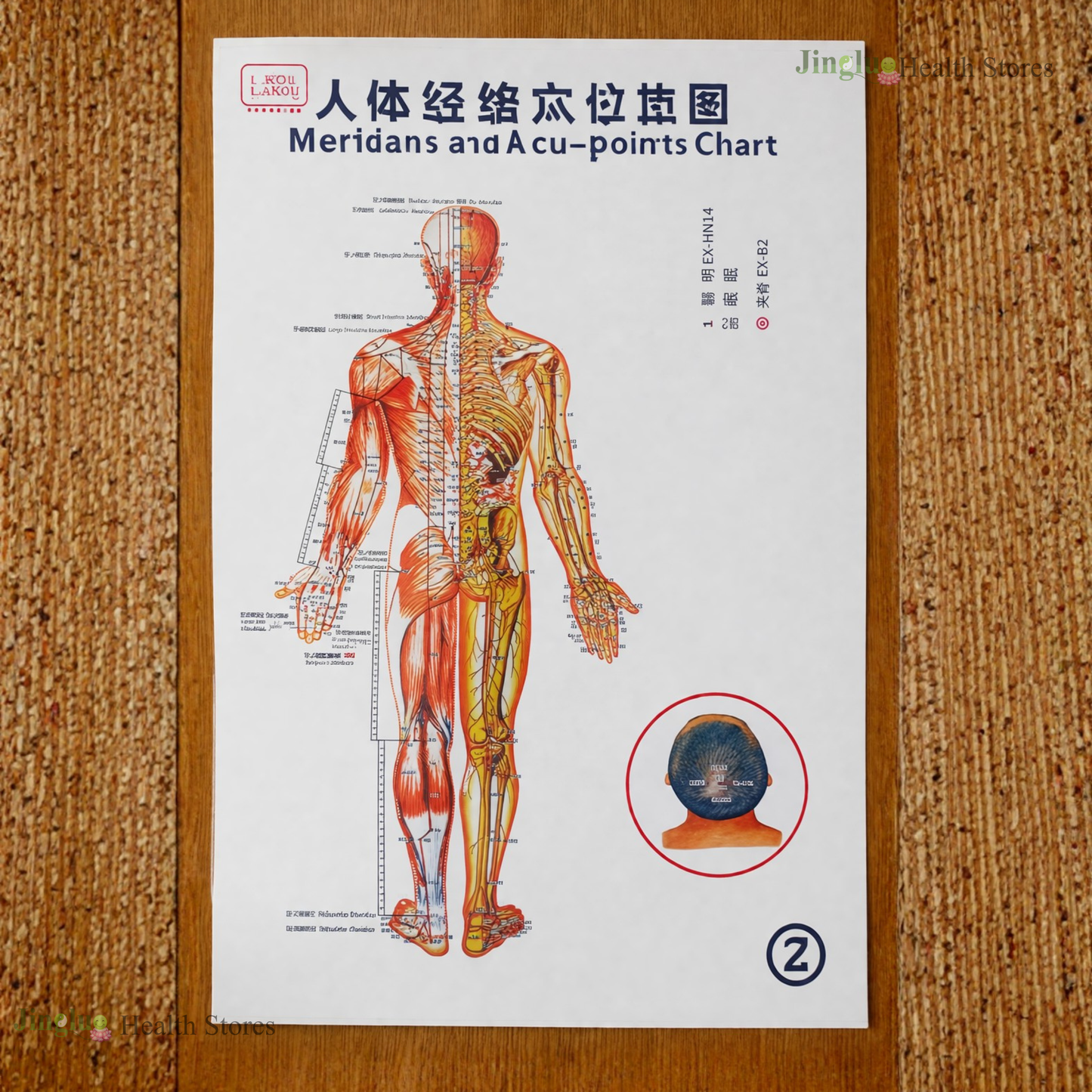 Acupuncture Charts