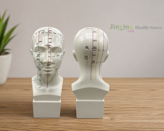 Head Model