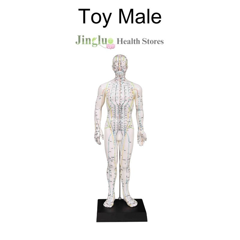 Toy Male