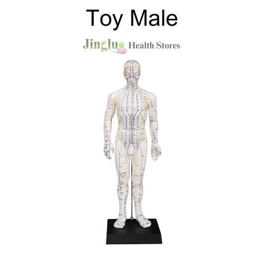 Toy Male