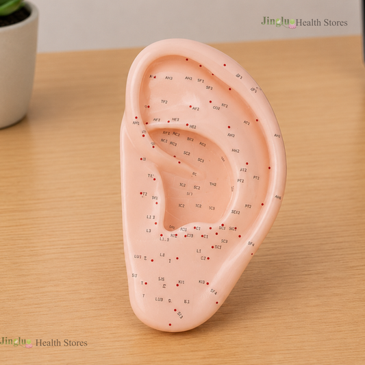Ear Model