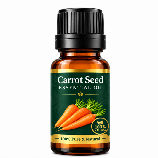 Carrot Seed Essential Oil – Natural Aromatherapy Oil