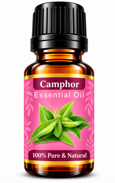 Camphor Essential Oil – Natural Aromatherapy Oil
