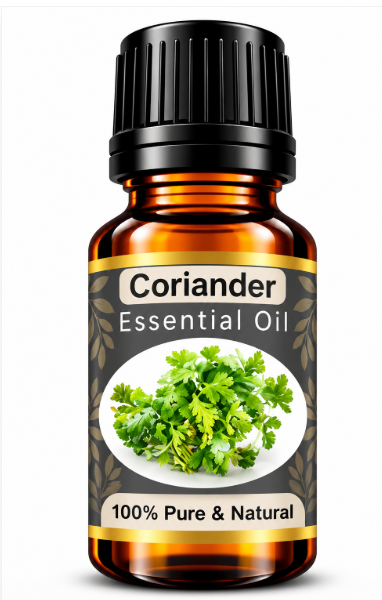 Coriander Essential Oil – Natural Aromatherapy Oil