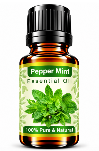 Peppermint Essential Oil – Natural Aromatherapy Oil