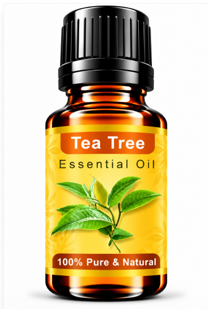 Tea Tree Essential Oil – Natural Aromatherapy Oil