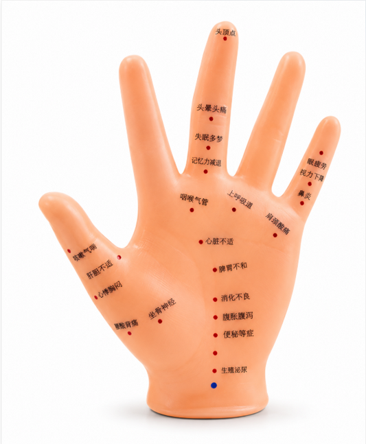 Hand Model