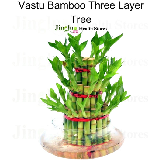 Vastu Bamboo Three Layer Tree