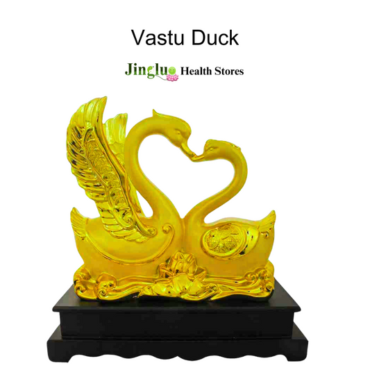 Vastu Duck