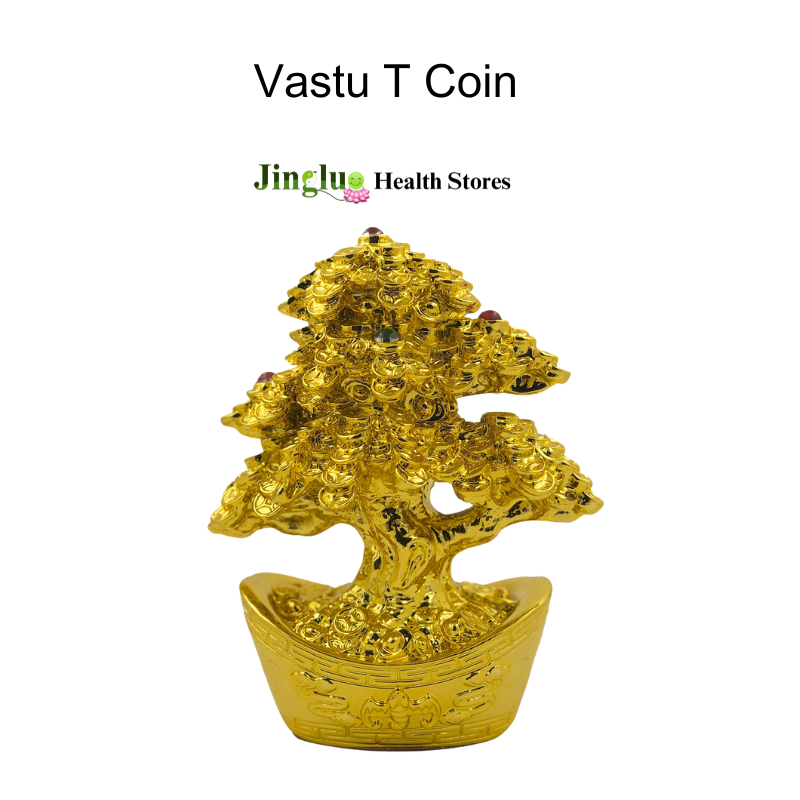 Vastu T Coin