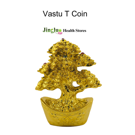 Vastu T Coin