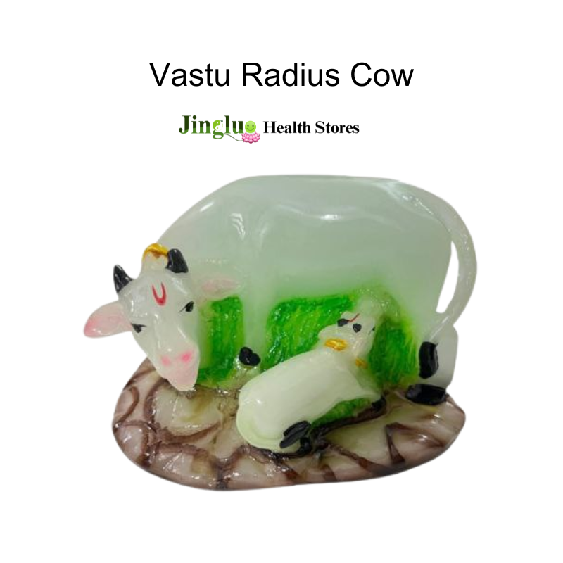 Vastu Radius Cow