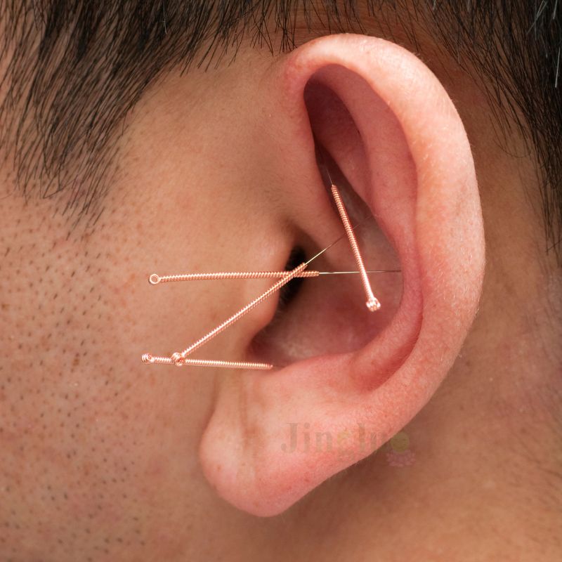 Ear Model